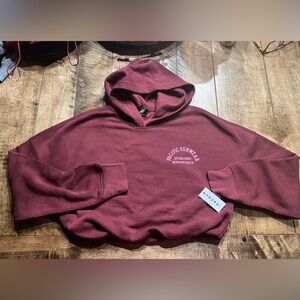 Pacsun hooded crop sweatshirt